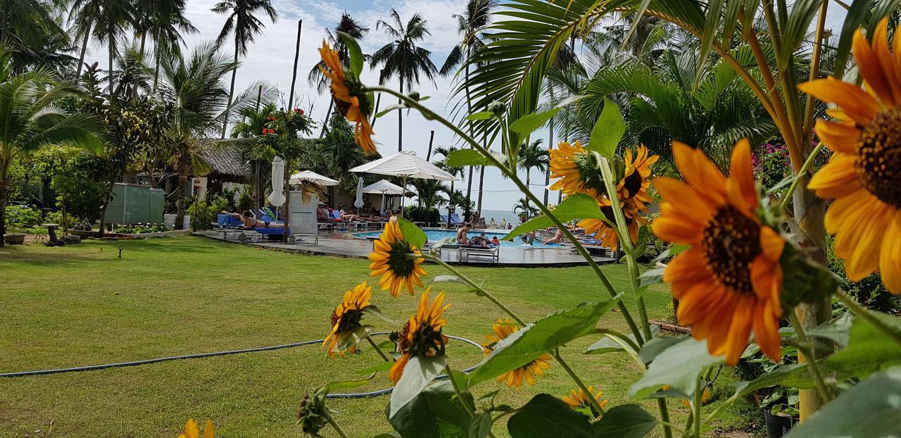 Sun & Sands Beach Hotel Mui Ne Dış mekan fotoğraf